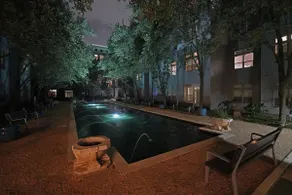 Modern Oasis by NASA | Family, Pet, & Corporate - Image 3