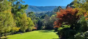Idyllwylde. Stroll to river & town. Pet-friendly. - Image 2