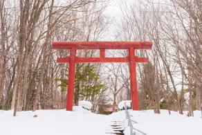 Groups of up to 10 people: Summer vacation & Biei-Furano cycling | Mist Sauna - Image 2