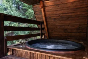 A cottage in the mountains with a hot tub and swimming pool, forest - Image 3