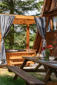 Cabin in the mountains with a hot jacuzzi - Forest Idyllic - Image 3