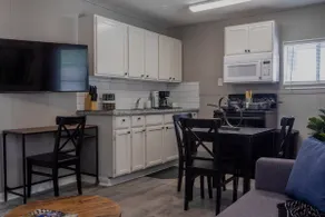 The Sable Flats 15 | Hermann Park, Medical Center! - Image 3