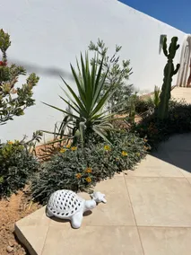 DAR ABY high standing with pool and jacuzzi - Image 4