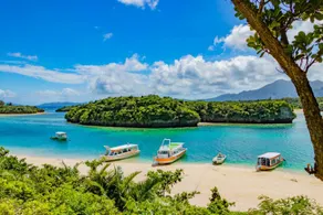 Residential area with palm trees * Max 5 people * 1LDK * High-speed Wi-Fi * Parking for 2 cars * ZA103 - Image 4