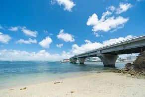 Tropical Aquarium｜BBQ｜The Mural Art House Urasoe - Image 4