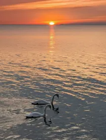 Lake it or Leave it: A Waterfront Georgian Gem - Image 4