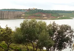 Alojamiento Los Naranjos - Image 3