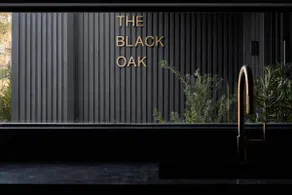 The Black Oak: Forest & Chill - Image 4