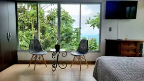 Palm Green - Image 2