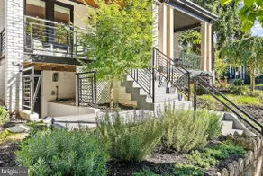 [NEW] Cozy & Stylish English Basement in D.C! - Image 2