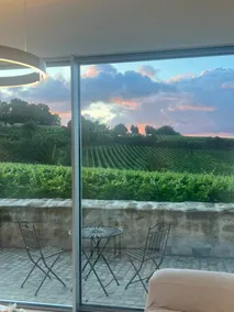 Relaxation in the vineyards of the Palatinate - Image 5