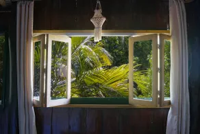 Yes! My wish came true! Casa La Mera-Mera 11 - Image 4