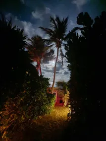 Yes! My wish came true! Casa La Mera-Mera 11 - Image 3