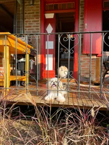 Cabin with hydro, fireplace and breakfast - Image 3