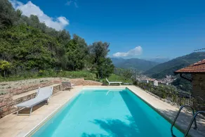 House of olives - Image 3