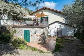 House of olives - Image 2