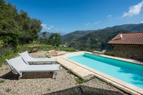 House of olives - Image 4
