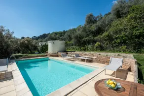 House of olives - Image 5