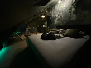 The Jungle Suite - Immersive Experience - center - Image 5