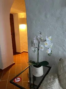 IL RUSTICO a Caslano - Offerta ultime date disponibili autunno 2026! - Image 2