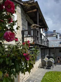 Casa Carina - Enchanted rustico in Mergoscia - Image 4