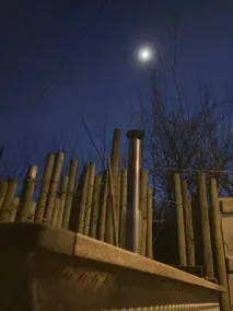 The Shepherd's Hut, Steam and Stars - Image 5
