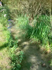 Independent accommodation in a cottage - Image 5