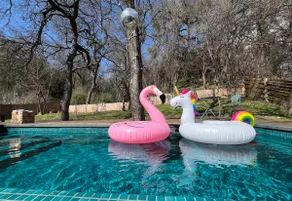 Vibrant Eclectic Oasis With Pool! - Image 3