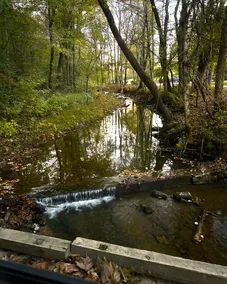 Creekside Cabin * Nestled in Woods * 30M Nashville - Image 2