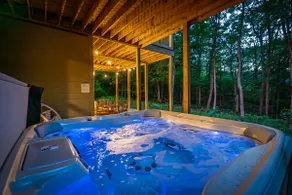 Spacious and Updated Home in Wintergreen - Image 5