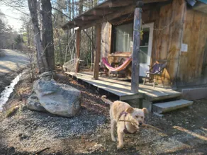 Cabin-Swim-Fire Pit-Sauna-7min to Stratton-DogsOK - Image 3