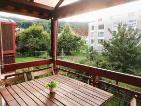 Top duplex Apartment Zurich-Limmattal - Image 3