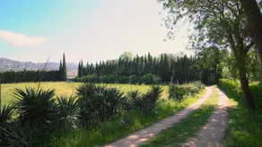 Tarrés mill - Image 4