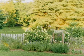 The Bowman Cottage~ Flower Gardens~ Fire Pit - Image 4