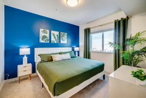 Tropical Themed 2bd 2ba w/bunk beds - Image 3
