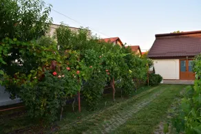 The Ranch House Bragadiru - Image 3