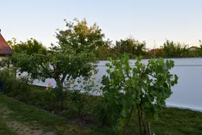 The Ranch House Bragadiru - Image 5
