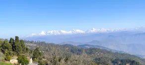 Stay Pal Be Vi 3bhk Pvt Cottage Near Ranikhet - Image 5