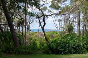Driftwood on Home Beach - Absolute Beachfront - Image 4
