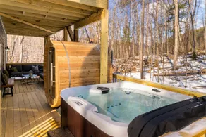 Luxurious Designer Home: Sauna, HotTub Game Rooms! - Image 2