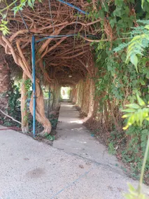 Dar Hamra, Private Pool - Image 5