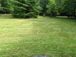 Tionesta LO Cabin - Image 2