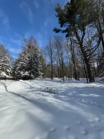 Birch Hollow, a Tranquil Catskills Home! - Image 2