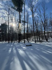 Birch Hollow, a Tranquil Catskills Home! - Image 3