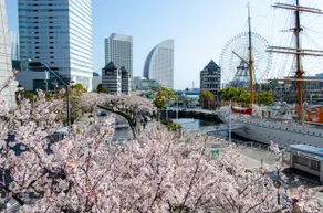 Add color to your trip to Yokohama with a hotel that offers kitchen facilities for up to 3 guests! - Image 4