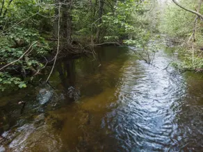 Booking for Fall Now ~ South Branch River Ranch - Image 3