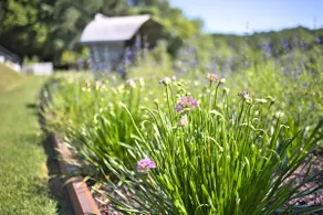 The Louvadour barn - Image 3