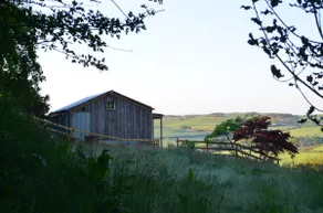 The Fold - Unique Cabin Nestled in Nature - Image 2