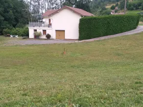 cottage for nature lovers - Image 2