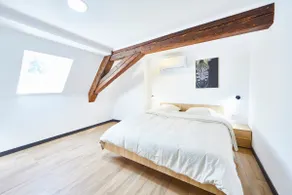 TH•202 - Accommodation in downtown Thann (1-7 pers) - Image 3